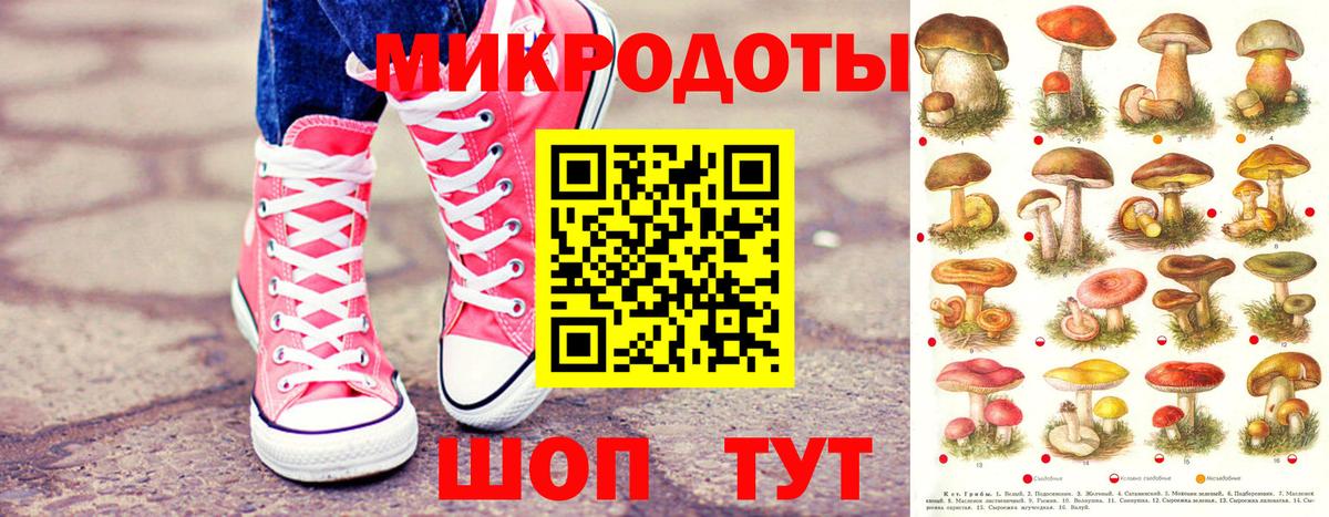 Псилоцибиновые грибы MAGIC MUSHROOMS Красногорск
