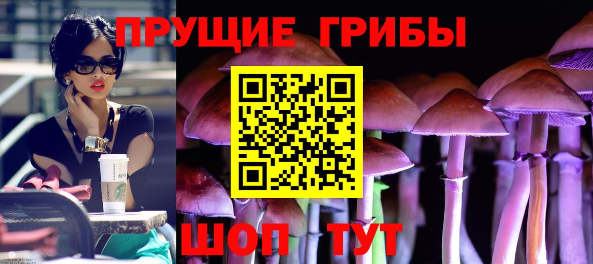 Галлюциногенные грибы Psilocybine cubensis  Вход с VPN  Красногорск 